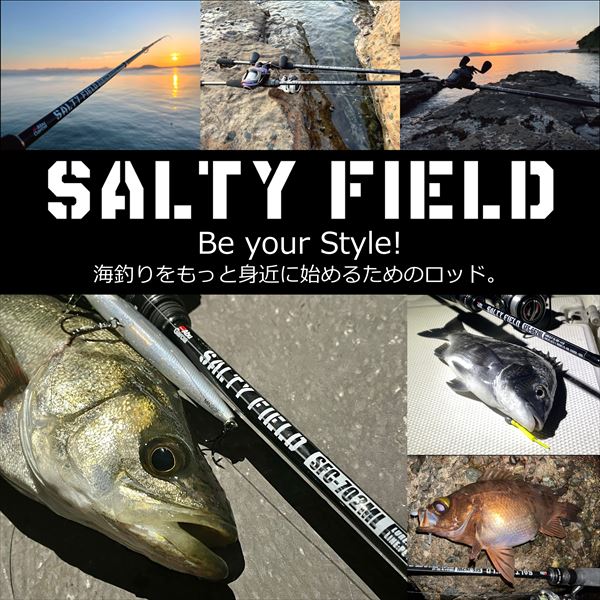 Abu Garcia Ajing Rod Salty Field SFS-762L (Spinning 2 Piece)