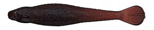 Evergreen Worm Fact Sculpin 3.5inch #11 Scuppernon