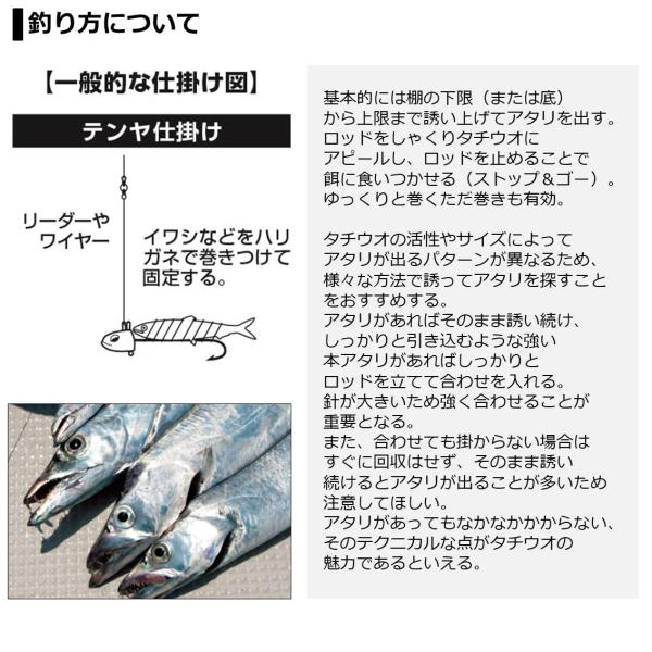 Daiwa Tenya Tachiuo X 180/ R (Baitcasting 2 Piece)