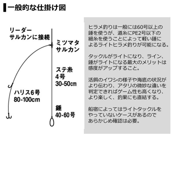 Daiwa Light Hirame X S-230/ R (Baitcasting 2 Piece)