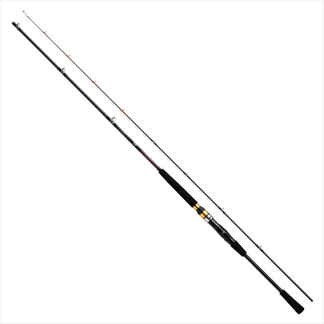 Daiwa Boat Rod Sea Flex 64 30-240/ N (Baitcasting 2 Piece)