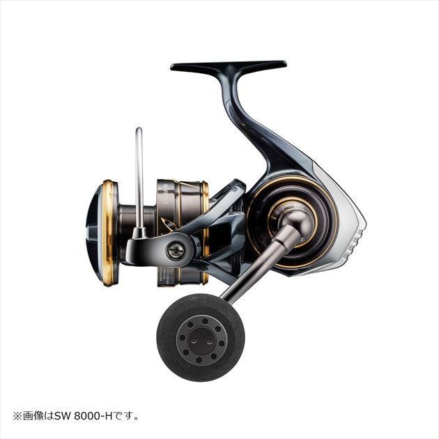Daiwa 22 Caldia SW 4000-CXH