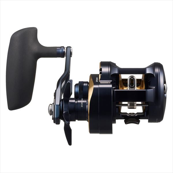 Daiwa 25 Saltiga 300H (Right handle)