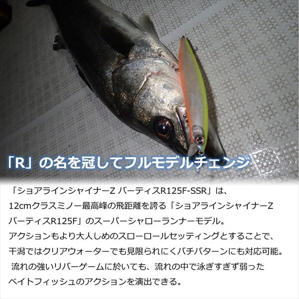 Daiwa SeaBass Lure Shoreline Shiner-Z Vertice R 125F-SSR Adelble Pin Marble