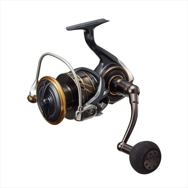 Daiwa 22 Caldia SW 10000-P