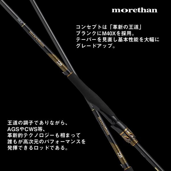 Daiwa Seabass Rod Morethan 83L/ML/J (Spinning 2 piece)