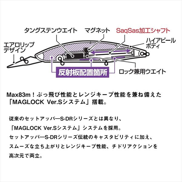 Daiwa Seabass Lure Shoreline Shiner-Z Set Upper Fullback 125S-DR-LI LI Inakko