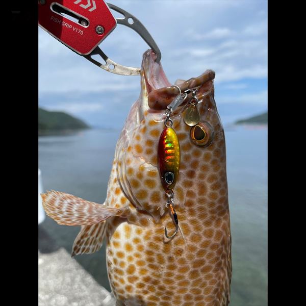 Daiwa Metal Jig Teardro Spin 7g Red Gold