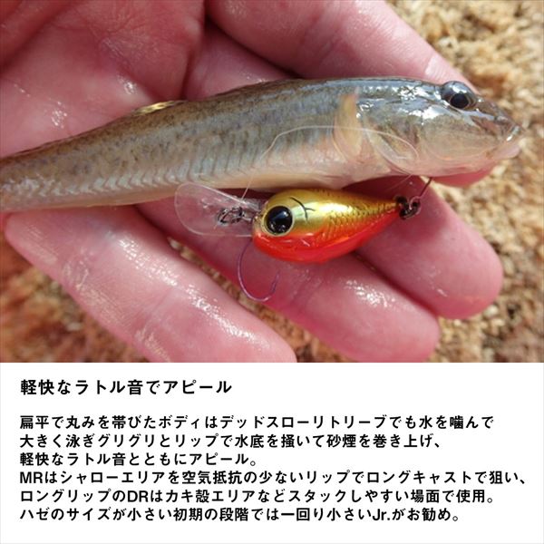 Daiwa Hazecra MR Clear Gold Stripe Shrimp