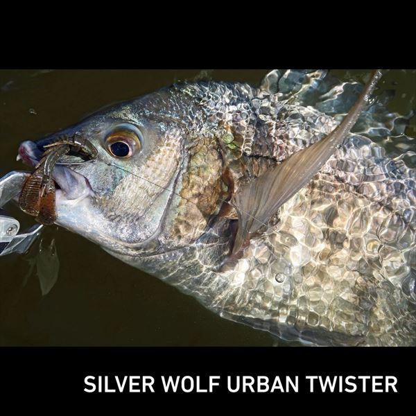 Daiwa Worm Silver Wolf Urban Twister 2.5inch Green Pumpkin