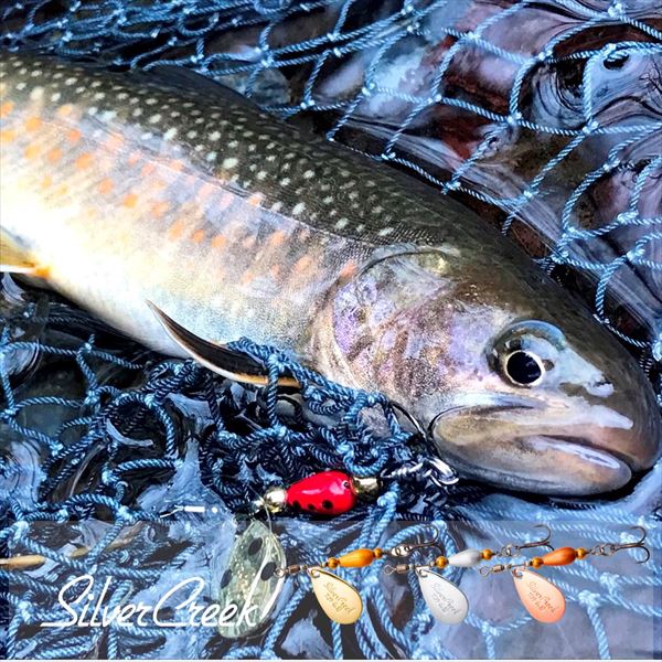Daiwa Silver Creek Spinner 3.0 Blue Silver