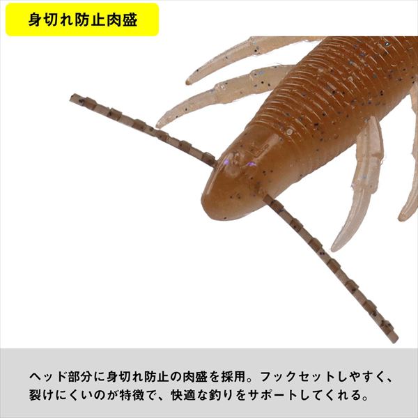 Daiwa Worm Steez Bramo 2.4inch Green Pumpkin