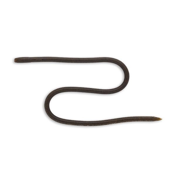 Imakatsu Worm Skinny eel Crawler 12inch #S-14 Green Pumpkin