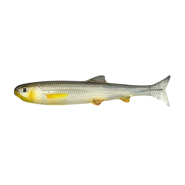 Imakatsu Worm Lazy Swimmer 3.9inch Real color #S-210 Flash Hass