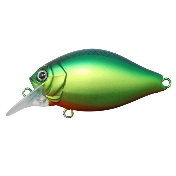 Issei Bass Lure G.C.Shallow Crank 40SR Chira #20 Chart Blue Back