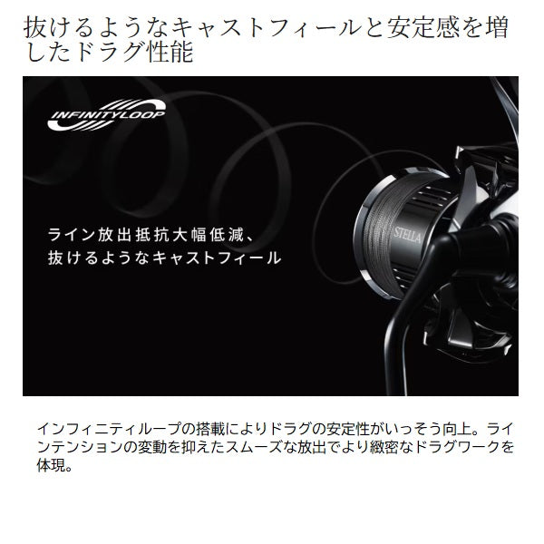 Shimano 25 Exsence C3000MHG