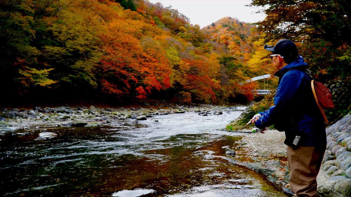 Test-asianportal-fishing
